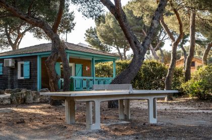 Table de ping-pong