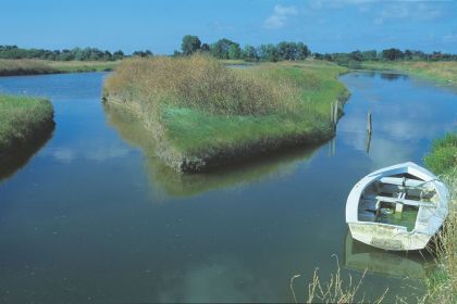 La découverte de la nature